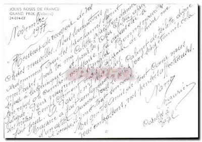 Roses — Grand Prix de France — publisher Delbard, n° 24-014-07 — Back