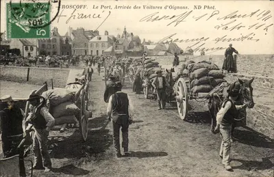Roscoff. Le Port, Arrivée des Voitures d'Oignons. ND Phot.