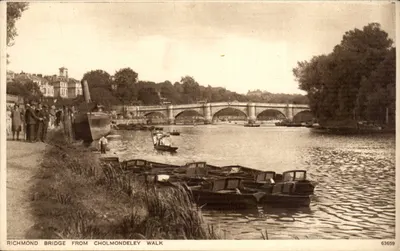 Richmond Bridge visto de Cholmondeley Walk — vista sobre o rio — editor Photochrom Wells & Tunbridge Wells, n° 63659