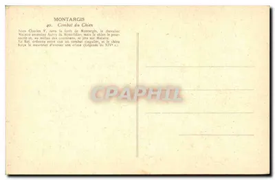 Bitwa psa — Montargis — Wydawnictwo M. P. (nr 40) — Rewers