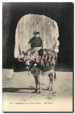 Bäuerin aus der Côte d'Azur — ND Phot. — n° 717