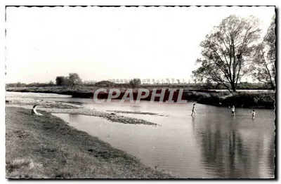 Ouzouer-sur-Loire — A praia — Edição de Armand Rameau, Étampes