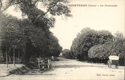 Courtenay (Loiret) — As Promenades — Edit. Gack, tabac