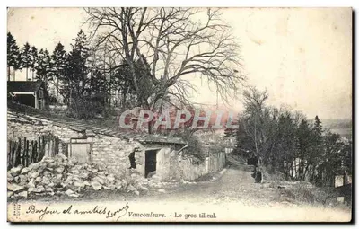 Vaucouleurs - O grande tilo — Bilhete postal antigo n° 24602, editada pela Sociedade Anônima das Cartas Postais da França