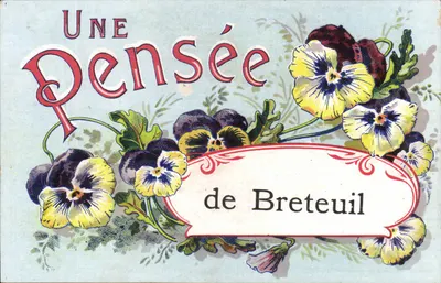 Uma Pensão de Breteuil — carta postal ilustrada com pensões de flores — editor Breteuil