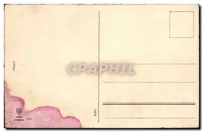 Paesaggio con cipressi — J. Import — Foto-Chrome n°556 — Verso