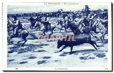 A Provência — Na Camargue. — A Ferrada. — LL n°39