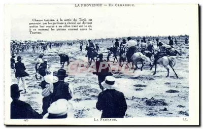 La Provence — Em Camargue — La Ferrade. — La Ferrade, n° 45