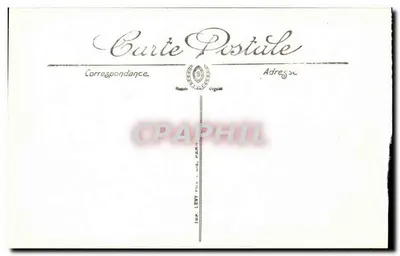 Taureaux de la Manade Viret — Camargue — LL — Verso