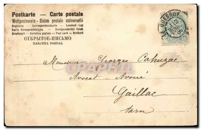 Ringraziamenti del pesce — mille abbracci — Hal Ludlow, Pinx. Fotografia incisa. Decorata Serie N°6052 — Verso