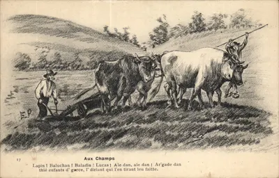 Nos Campos — Cena de aração com vacas e camponeses — Editor EP, n° 17