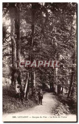 Lovagny — Gorges do Fier — O Bosque do Poeta — n° 3861