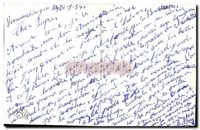 Flores de pensamiento — Cumpleaños — editor no visible — Reverso