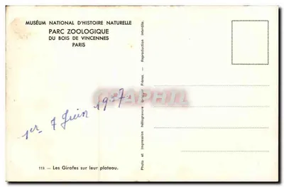 Girafas em seu platô — Museu Nacional de História Natural, Parque Zoológico do Bois de Vincennes — Foto Gravier Frères, n°119 — Verso