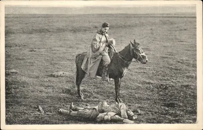 Soldado a cavalo em um campo de batalha — Sérvia — editor desconhecido, n° 442946