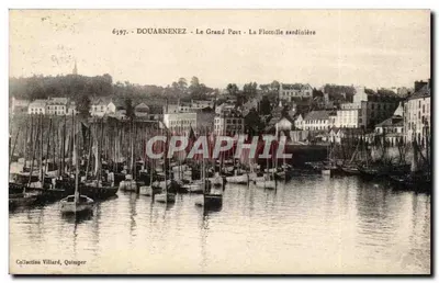 Douarnenez - O Grande Porto - A Flotilha Sardiniana — Coleção Villard, Quimper, n° 6597