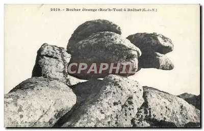 Rocha estranha (Roc'h-Toul em Bréhat, C.-du-N.) — Col. E. Hamon, St-Brieuc — n° 2419
