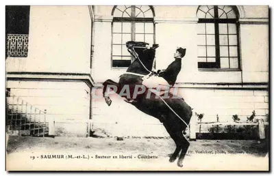 Saumur (M.-et-L.) - Saltador em liberdade - Courbette — Fr. Voelecker, fot. Saumur, depositado