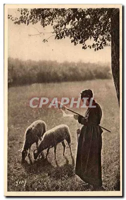 पुराना सेंटोंगेज़ एक तंतु बुनने वाली महिला — नरम फ्रांस — कला संस्करण यवॉन, नूली-सर-मार्न