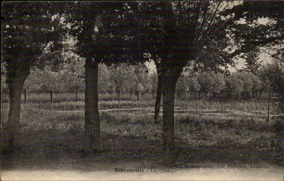 Ribeauville - Os Campos — Santos & Eu - Coll. Piou-Fache, Ribeauville