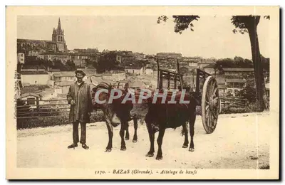 Bazas (Gironde) — Carro de bois — Bromotype Gaureau, Langos (Gironde)