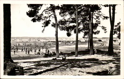 Praia de Andernos-les-Bains — vista dos pinheiros — editor Gaby, n°36