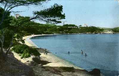Praia da Courtade — Ilha de Porquerolles (Var) — Les Editions Marélla
