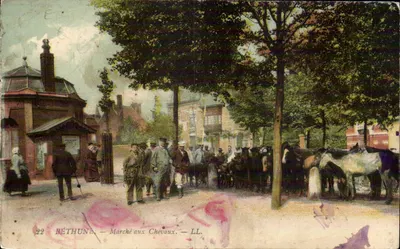Bethune - Marche aux Chevaux - Cavalo - Bilhete postal antigo - Bilhete postal antigo