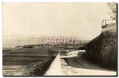 Vue do Monte Carmelo — Palestina — Carta postal