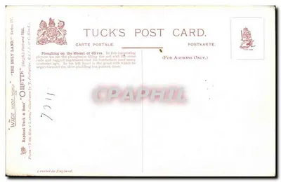 Arado no Monte das Oliveiras — Terra Santa — Tuck's Post Card, Série IV, ilustrado por Oilette — Verso