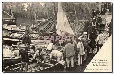 Le Croisic — Débarquement de la Sardine — Collection A. Thurel, édit., Nantes