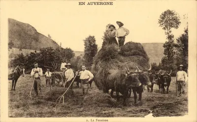 A Fenaison — Em Auvergne — Éditions Maïroux-Laborde et Déprat, Aurillac