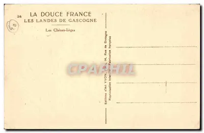 I Cipressi — Le Landes de Gascogne — Edizioni d'Arte YVON, Parigi — Verso