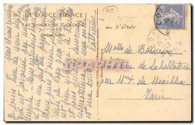 Les Landes Bilhete postal antigo - carruagem landaise (burro mula) — Verso