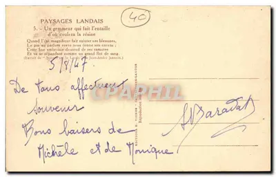 Um gemmeiro que faz a entalhada — Paisagens Landais n°5 — Edições E. Vignes - Castelnau-des-Landes — Verso