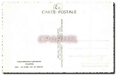 Floresta de resina — extração da resina — Edições Van-En-Souleau — Verso