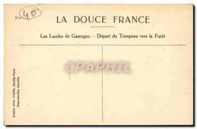 Les Landes de Gascogne — Saída do Rebanho para a Floresta — Edição de Arte YVON, Paris — Verso