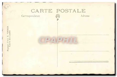 Floresta de pinheiros — lago — editor E. VIGNES, Landes — Verso