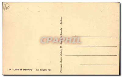 Florestas de Landes de Gascogne — As Fougueiras no Verão — Fototipia Marcel Delboy, 39, Rue de la Roussetille, Bordeaux — Verso