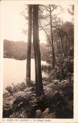 Nas Landas — Um Lago Landês — Paisagens de Arte E. Viguès