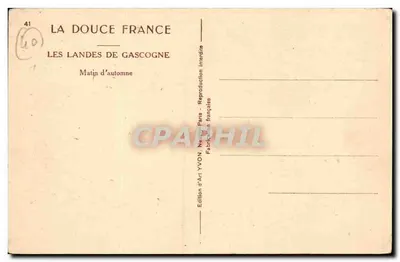 Les Landes de Gascogne — Poranek jesieni — Wydawnictwo Art YVON, Paryż — Rewers