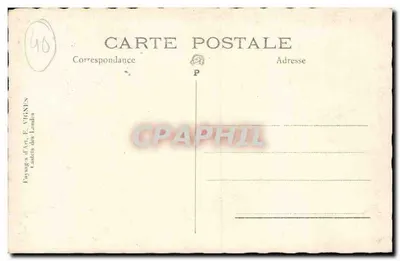 Floresta de pinheiros — pastor com rebanho — Editor F. VIGNES, Castels des Landes — Verso