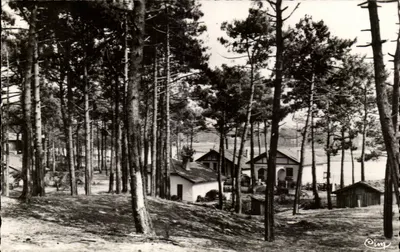 Parque de Inverno em Mimizan-Plage — Landes — editor Cim