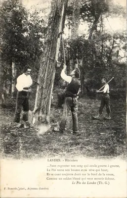 Resinadores — Landes — F. Bernéde, fot., Arjuzanx (Landes)