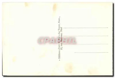 Monte-Carlo — Ogólny Widok — Munier, n° 238 — Rewers