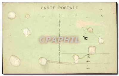 Marabou de África — París — Museo de Historia Natural — Reverso