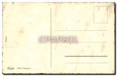 Tulipas em um vaso — fotografia — Rokeaz Import — Verso