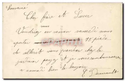 Pansies coloridas — editor E.R. Paris, n° 492 — Verso