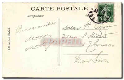 Grua com bico verde — Grus viridirostris — Jardim das Plantas, Paris — Verso