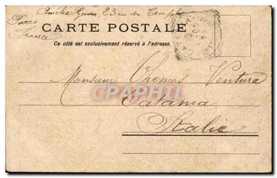 Paryż - Jardin des Plantes. Cedr Libański. — Wydawnictwo Louis Burgy n° 5501 — Rewers